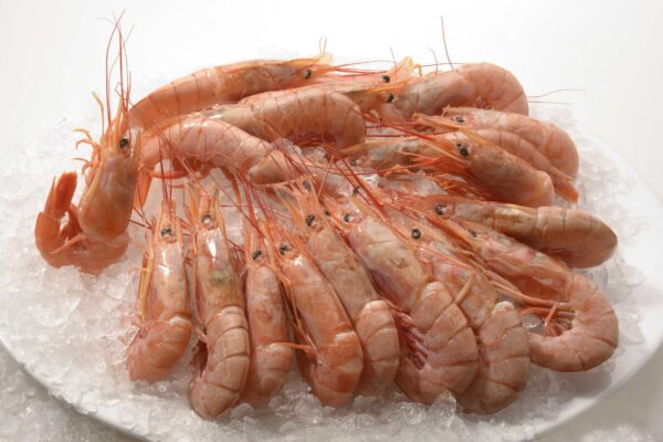 Shrimp (Whole)